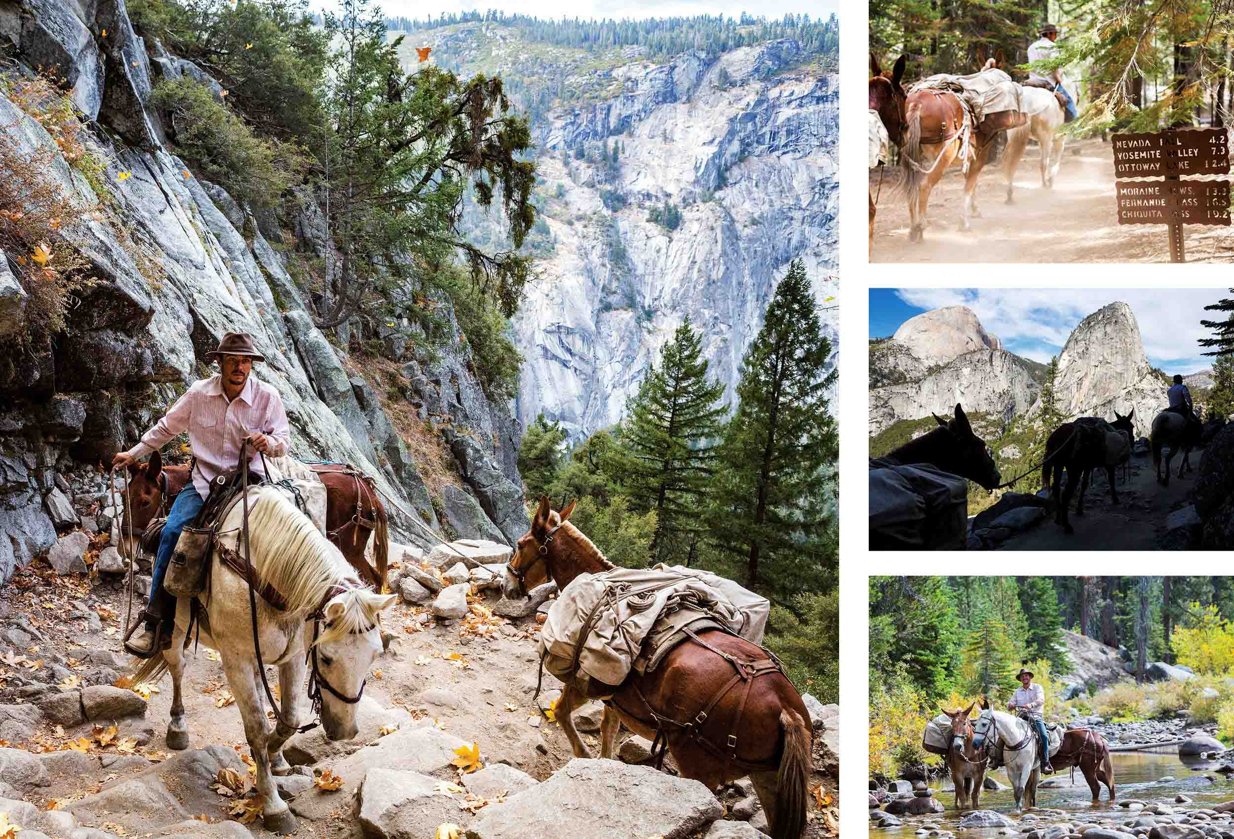 184-Jason-Robinson-Yosemite-Horseback-ChrisWellhausen
