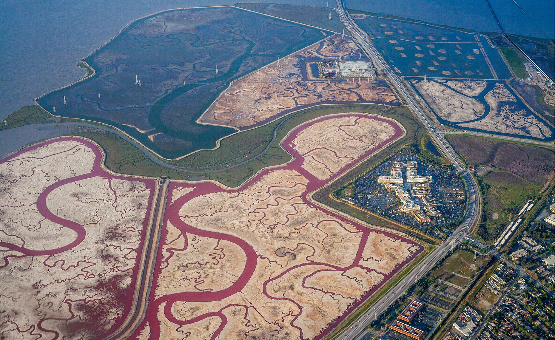 22_San_Franciso_Bay_Slough_California_Environment_Landscape_Chris_Wellhausen_Photography.JPG