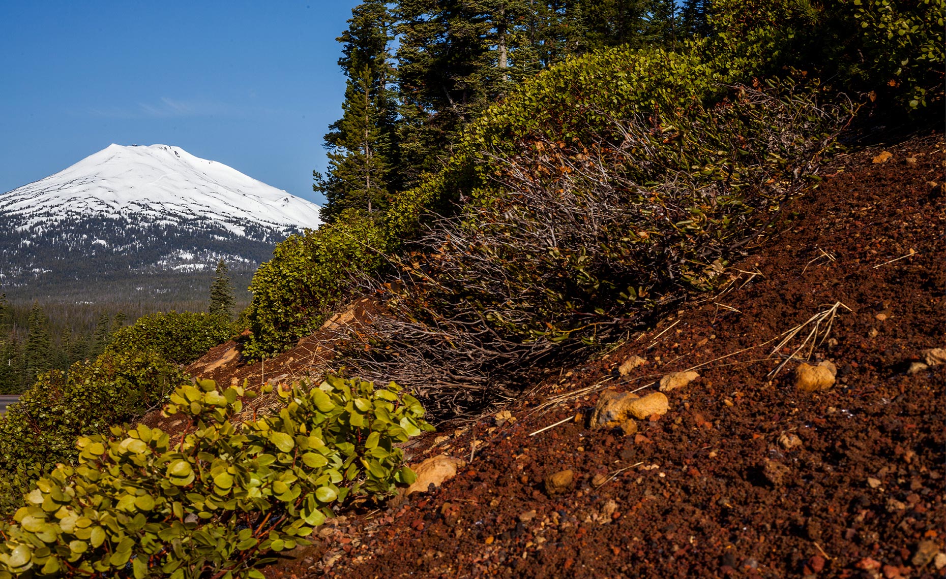 29_Mt_Bachelor_Environment_Landscape_Chris_Wellhausen_Photography.JPG