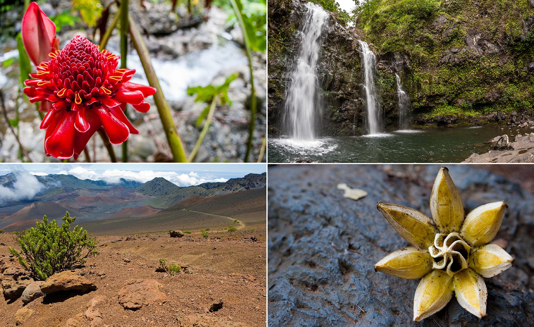 43_Hana_Volcano_Haleakala_National_Park_Maui_Hawaii_Environment_Landscape_Chris_Wellhausen_Photography.JPG